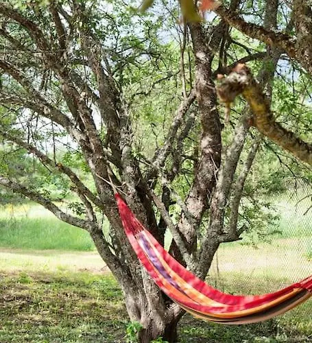 Palukuela Tiny House Kuuse * Palukula (Rapla)